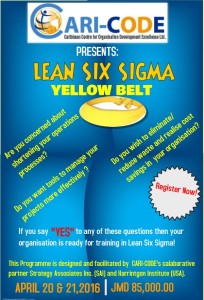 Lean Six Sigma Yellow Belt